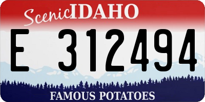 ID license plate E312494