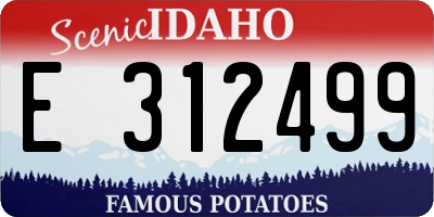 ID license plate E312499