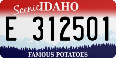 ID license plate E312501