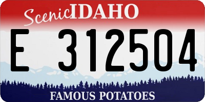 ID license plate E312504