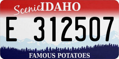 ID license plate E312507