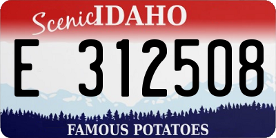 ID license plate E312508