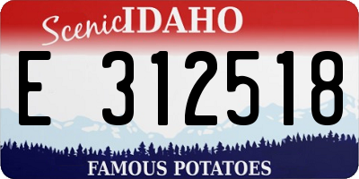 ID license plate E312518