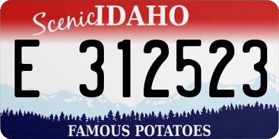 ID license plate E312523