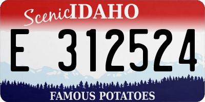 ID license plate E312524