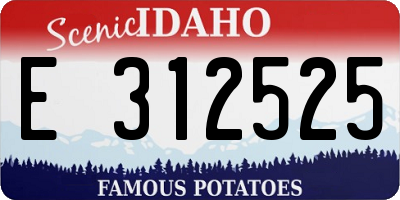 ID license plate E312525