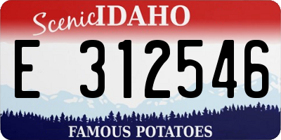 ID license plate E312546