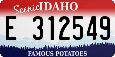 ID license plate E312549