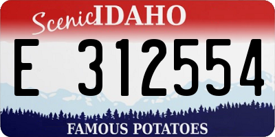 ID license plate E312554