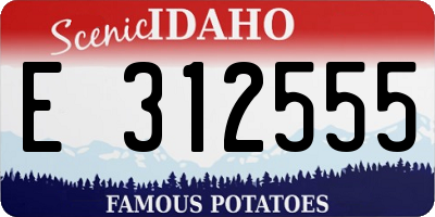 ID license plate E312555