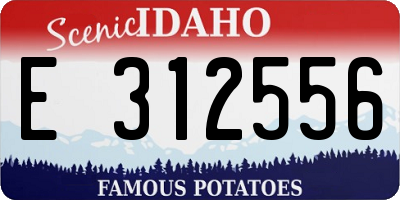 ID license plate E312556