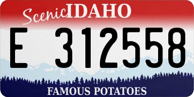 ID license plate E312558