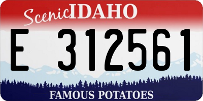 ID license plate E312561