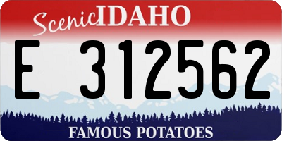 ID license plate E312562