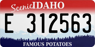 ID license plate E312563
