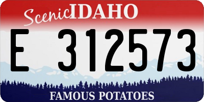 ID license plate E312573