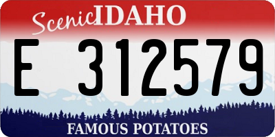 ID license plate E312579