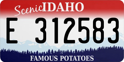 ID license plate E312583