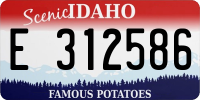 ID license plate E312586