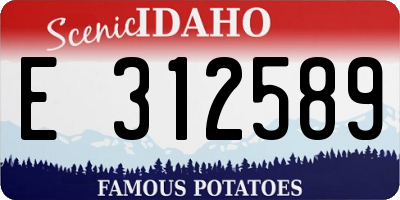ID license plate E312589
