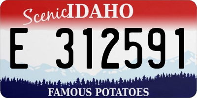 ID license plate E312591