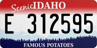 ID license plate E312595