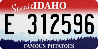 ID license plate E312596
