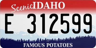 ID license plate E312599