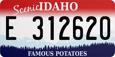 ID license plate E312620