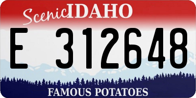 ID license plate E312648