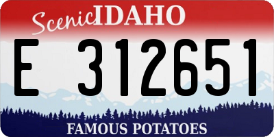 ID license plate E312651