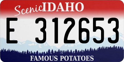 ID license plate E312653