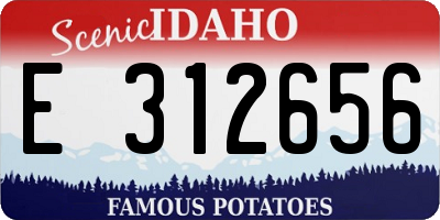 ID license plate E312656