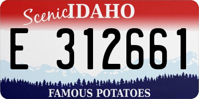 ID license plate E312661