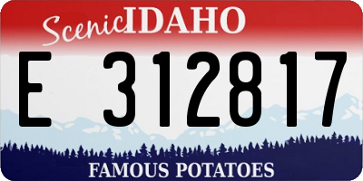 ID license plate E312817