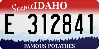 ID license plate E312841