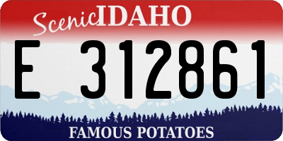 ID license plate E312861