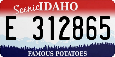 ID license plate E312865