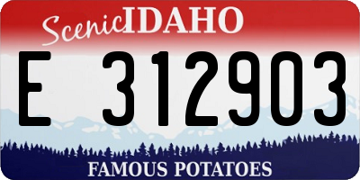 ID license plate E312903