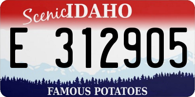 ID license plate E312905