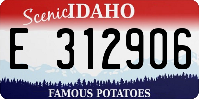 ID license plate E312906