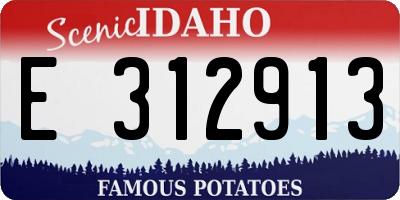 ID license plate E312913