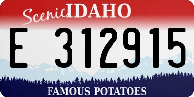ID license plate E312915