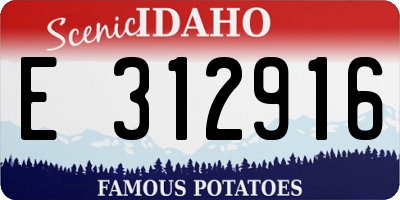 ID license plate E312916