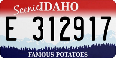 ID license plate E312917