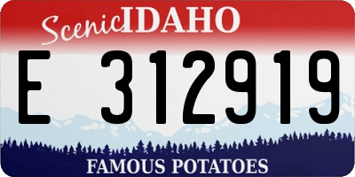 ID license plate E312919
