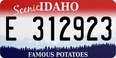 ID license plate E312923