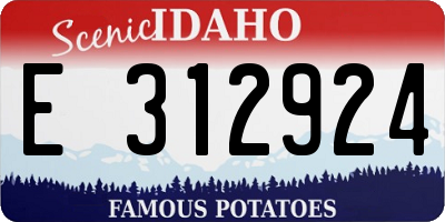 ID license plate E312924