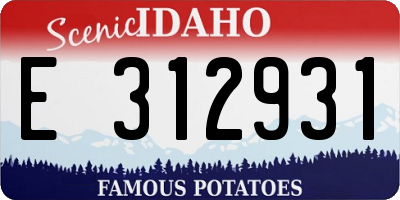 ID license plate E312931