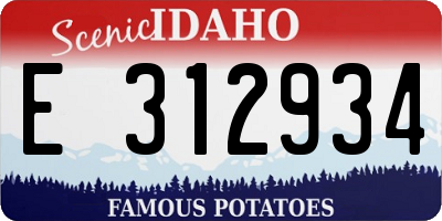 ID license plate E312934